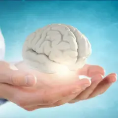 Arthritisandrheumcityllc